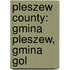 Pleszew County: Gmina Pleszew, Gmina Gol