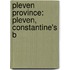 Pleven Province: Pleven, Constantine's B