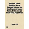 Schools of Tibetan Buddhism: Kagyu, Dzog door Books Llc