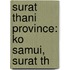 Surat Thani Province: Ko Samui, Surat Th