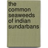 The Common Seaweeds of Indian Sundarbans by Abesh Chakraborty