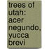 Trees of Utah: Acer Negundo, Yucca Brevi