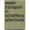 Water Transport in Schefflera arboricola door Sami Rabei