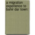 A Migration Experience To Bahir Dar Town: