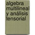 Algebra Multilineal y Análisis Tensorial