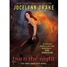 Burn the Night: The Final Dark Days Novel door Jocelynn Drake