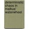 Deterministic Chaos in Malkus' Waterwheel door David Becerra Alonso