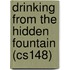 Drinking from the Hidden Fountain (Cs148)