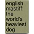 English Mastiff: The World's Heaviest Dog