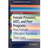 Female Prisoners, Aids, And Peer Programs door Kimberly Collica