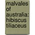 Malvales of Australia: Hibiscus Tiliaceus