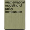 Mathematical Modeling of Pulse Combustion door Wu Zhonghua