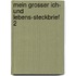 Mein Grosser Ich- Und Lebens-Steckbrief 2