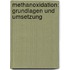 Methanoxidation: Grundlagen und Umsetzung