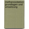 Methanoxidation: Grundlagen und Umsetzung door Alexander Kowalski