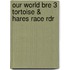 Our World Bre 3 Tortoise & Hares Race Rdr