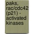 Paks, Rac/cdc42 (p21) - Activated Kinases