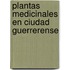 Plantas Medicinales En Ciudad Guerrerense