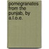 Pomegranates from the Punjab, by A.L.O.E.