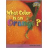 What Color Is An Orange?: Light And Color by Tristan Boyer Binns