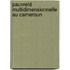 pauvreté multidimensionnelle au Cameroun