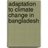 Adaptation To Climate Change In Bangladesh