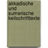 Akkadische Und Sumerische Keilschrifttexte