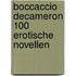 Boccaccio Decameron 100 erotische Novellen