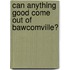 Can Anything Good Come Out of Bawcomville?