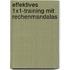 Effektives 1x1-Training mit Rechenmandalas