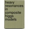 Heavy Resonances In Composite Higgs Models door Natascia Vignaroli