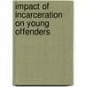 Impact of Incarceration on Young Offenders door Kristy N. Matsuda