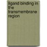 Ligand Binding in the Transmembrane Region