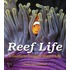 Reef Life: A Guide to Tropical Marine Life