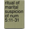 Ritual of Marital Suspicion of Num 5:11-31 door Paluku Mwendambio