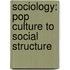 Sociology: Pop Culture to Social Structure