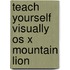 Teach Yourself Visually Os X Mountain Lion