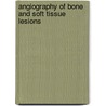 Angiography of Bone and Soft Tissue Lesions door I. Yaghmai