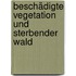 Beschädigte Vegetation und sterbender Wald