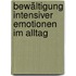 Bewältigung intensiver Emotionen im Alltag