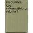 Ein Dunkles Loos: Volkserzählung, Volume 1