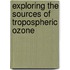 Exploring the Sources of Tropospheric Ozone