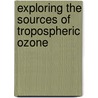 Exploring the Sources of Tropospheric Ozone door Changsub Shim