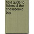 Field Guide to Fishes of the Chesapeake Bay