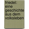 Friedel: Eine Geschichte Aus Dem Volksleben by Wilhelm Oertel W.O. von Horn