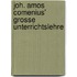 Joh. Amos Comenius' Grosse Unterrichtslehre