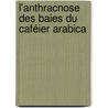 L'anthracnose des baies du Caféier Arabica by Joseph Aubert Mouen Bedimo