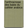 L'anthracnose des baies du Caféier Arabica door Joseph Aubert Mouen Bedimo