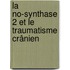 La No-synthase 2 Et Le Traumatisme Crânien