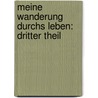 Meine Wanderung Durchs Leben: dritter Theil door Gerd Eilers